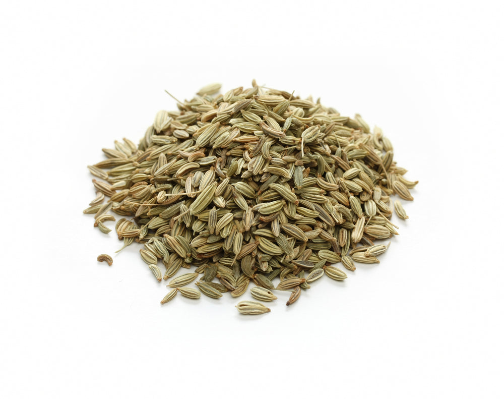Fennel (Foeniculum vulgare)