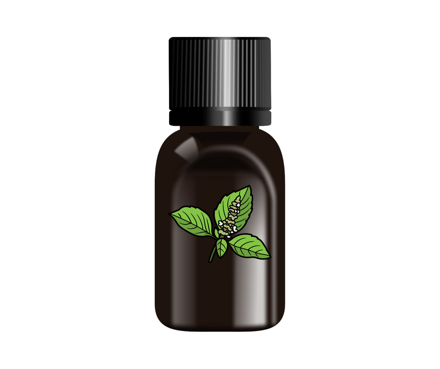 Basil Holy (Ocimum sanctum) Organic