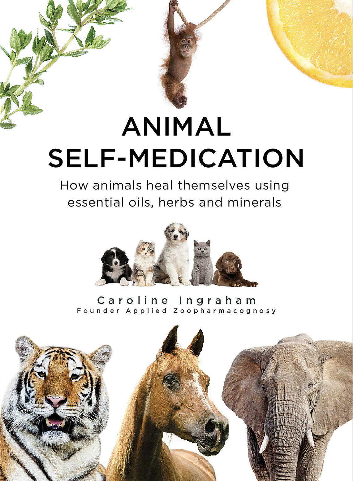 Animal Self-Medication (Softback or Hardback)