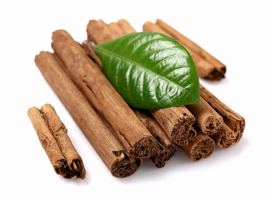Cinnamon Leaf (Cinnamomum zeylanicum)