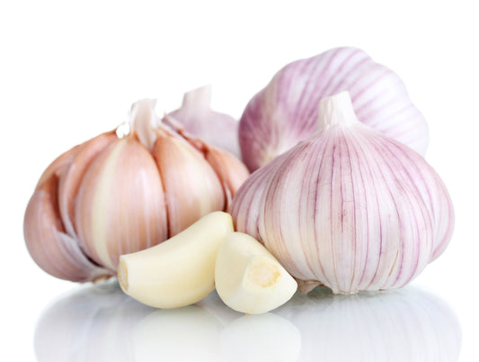 Garlic (Allium sativum) Organic