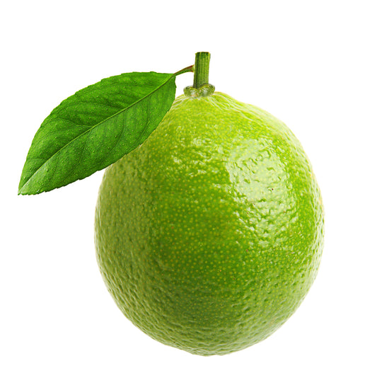 Lime (Citrus aurantifolia) Organic