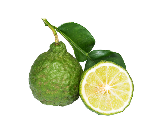 Bergamot (Citrus bergamia) Organic