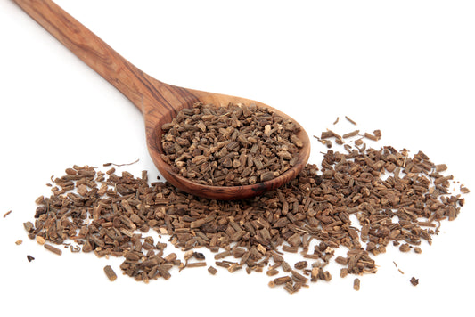 Valerian Root (Valeriana officinalis) Organic