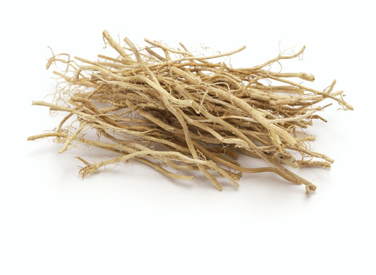 Vetiver (Chrysopogon zizanioides)